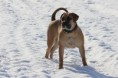 /album/anka/wandelen-011-jpg/
